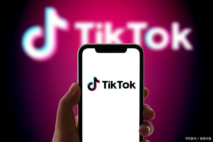 TikTok刷粉快手