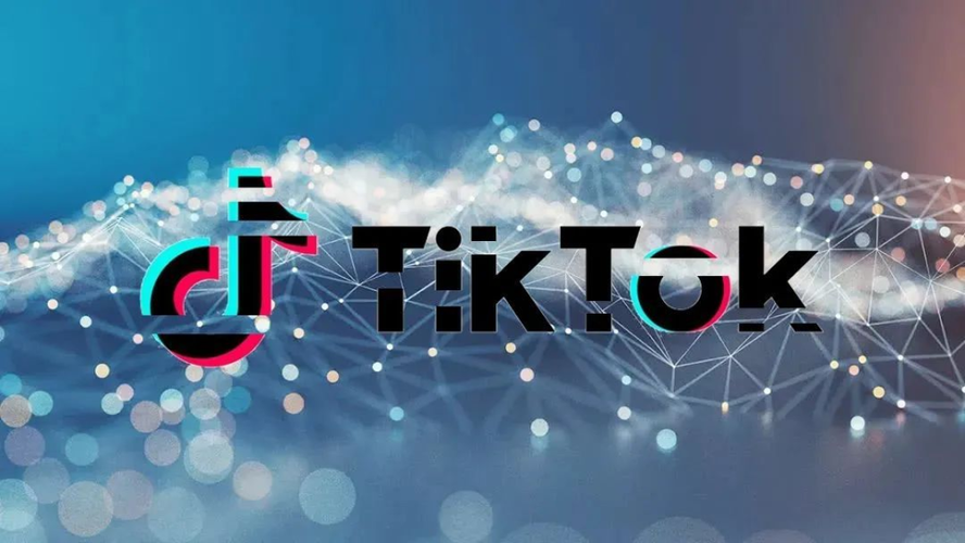 TikTok手动刷粉,标题：揭秘 TikTok 手动刷粉：一项合法却有利可图的业务!