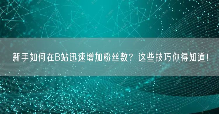 新手如何在B站迅速增加粉丝数？这些技巧你得知道！