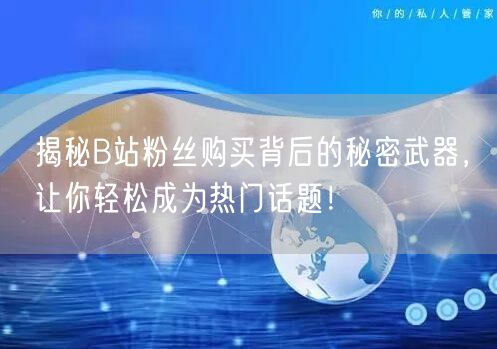 揭秘B站粉丝购买背后的秘密武器，让你轻松成为热门话题！