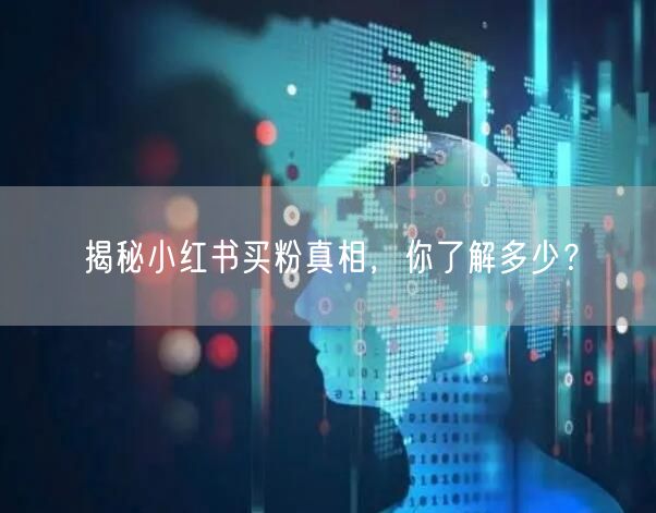 揭秘小红书买粉真相，你了解多少？