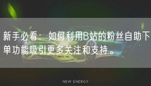 新手必看：如何利用B站的粉丝自助下单功能吸引更多关注和支持。