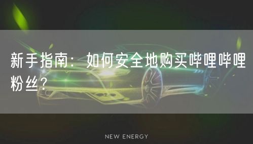 新手指南：如何安全地购买哔哩哔哩粉丝？