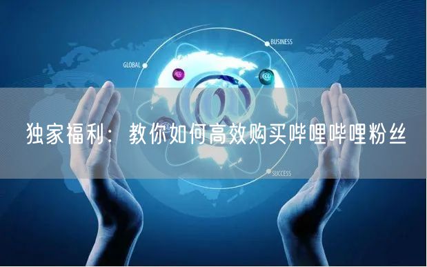 独家福利：教你如何高效购买哔哩哔哩粉丝