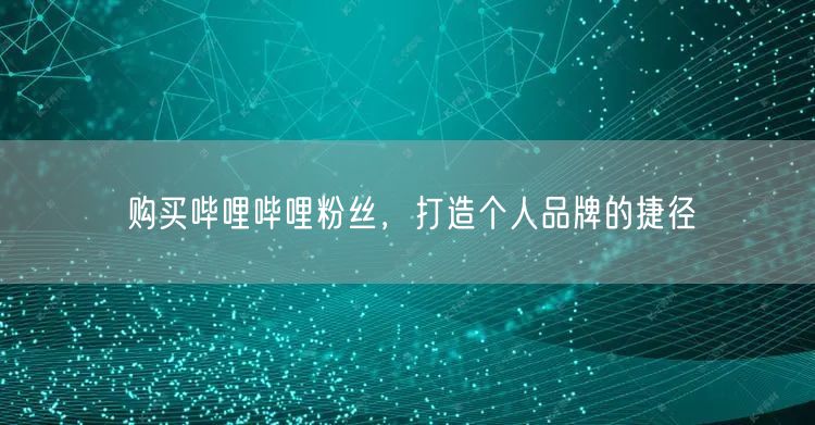 购买哔哩哔哩粉丝，打造个人品牌的捷径