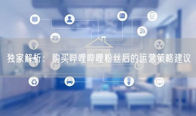 独家解析：购买哔哩哔哩粉丝后的运营策略建议