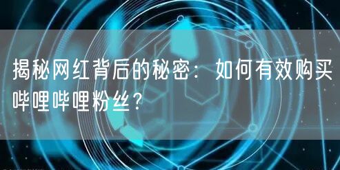 揭秘网红背后的秘密：如何有效购买哔哩哔哩粉丝？