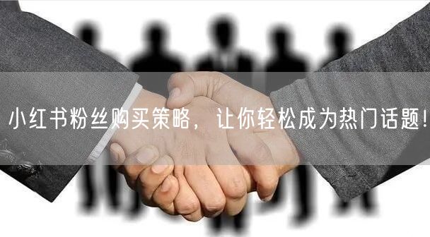 小红书粉丝购买策略，让你轻松成为热门话题！