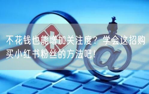 不花钱也能增加关注度？学会这招购买小红书粉丝的方法吧！