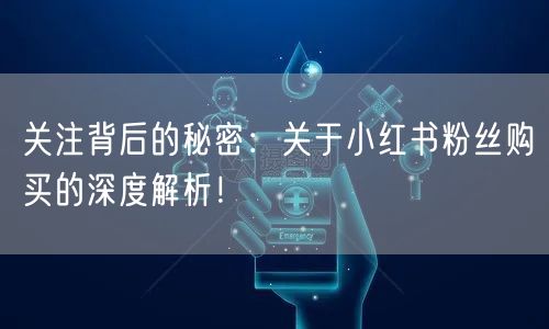 关注背后的秘密：关于小红书粉丝购买的深度解析！