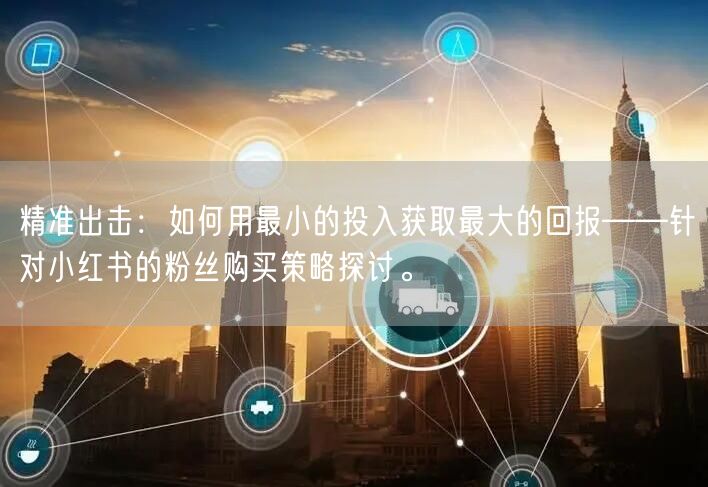 精准出击：如何用最小的投入获取最大的回报——针对小红书的粉丝购买策略探讨。