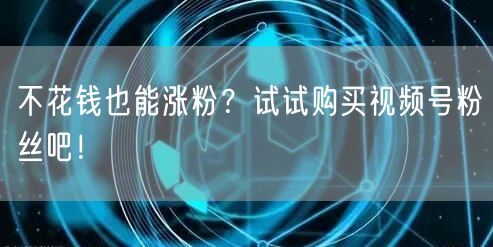 不花钱也能涨粉？试试购买视频号粉丝吧！