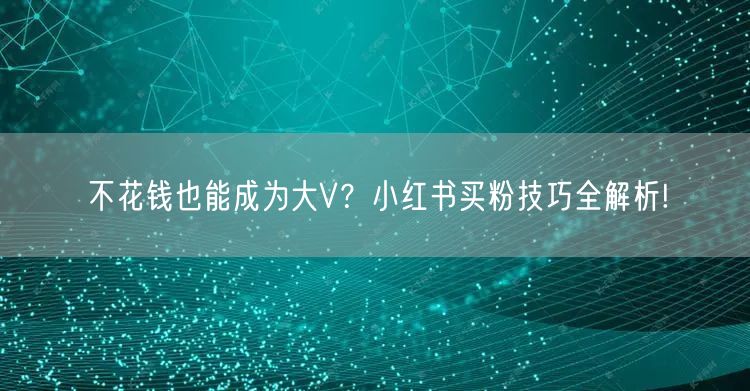 不花钱也能成为大V？小红书买粉技巧全解析!