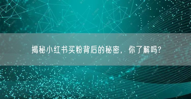 揭秘小红书买粉背后的秘密，你了解吗?