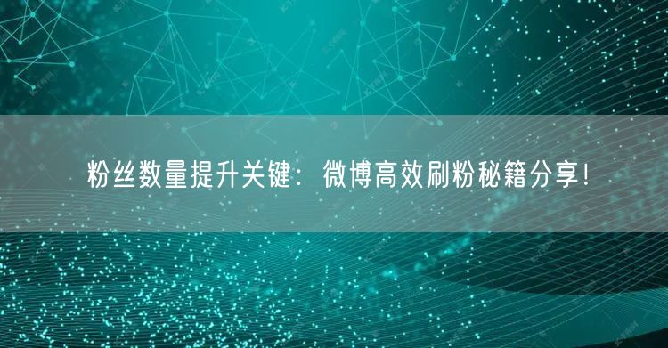 粉丝数量提升关键：微博高效刷粉秘籍分享！