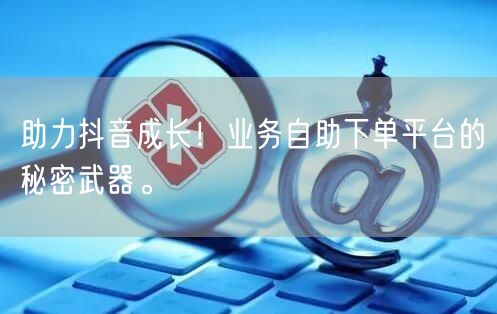 助力抖音成长！业务自助下单平台的秘密武器。