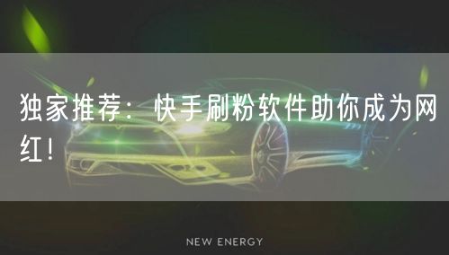 独家推荐：快手刷粉软件助你成为网红！