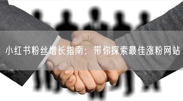 小红书粉丝增长指南：带你探索最佳涨粉网站