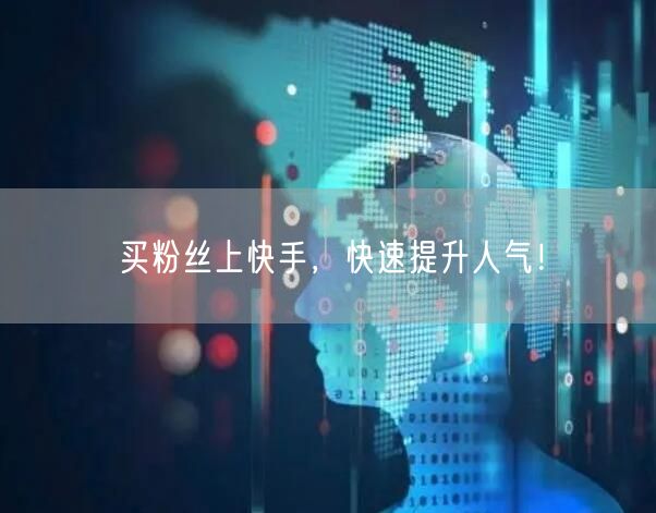 买粉丝上快手，快速提升人气！
