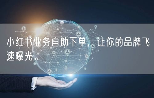 小红书业务自助下单，让你的品牌飞速曝光。
