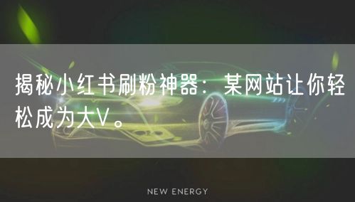 揭秘小红书刷粉神器：某网站让你轻松成为大V。
