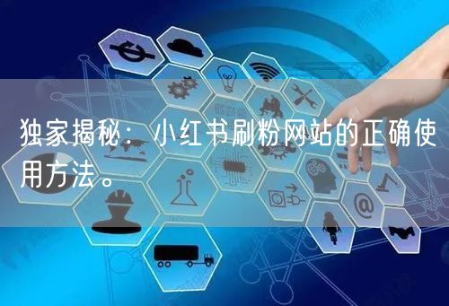 独家揭秘：小红书刷粉网站的正确使用方法。