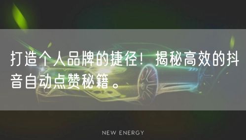 打造个人品牌的捷径！揭秘高效的抖音自动点赞秘籍。