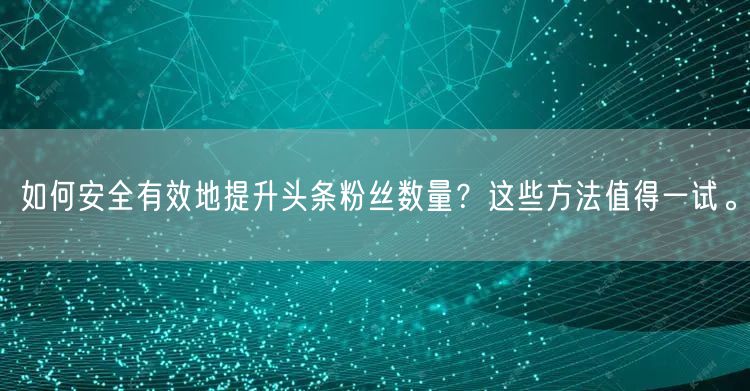 如何安全有效地提升头条粉丝数量？这些方法值得一试。