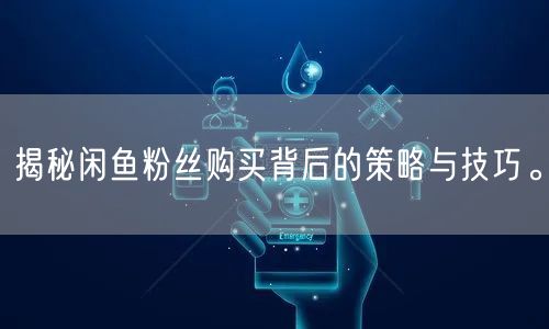 揭秘闲鱼粉丝购买背后的策略与技巧。