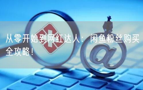 从零开始到网红达人：闲鱼粉丝购买全攻略！
