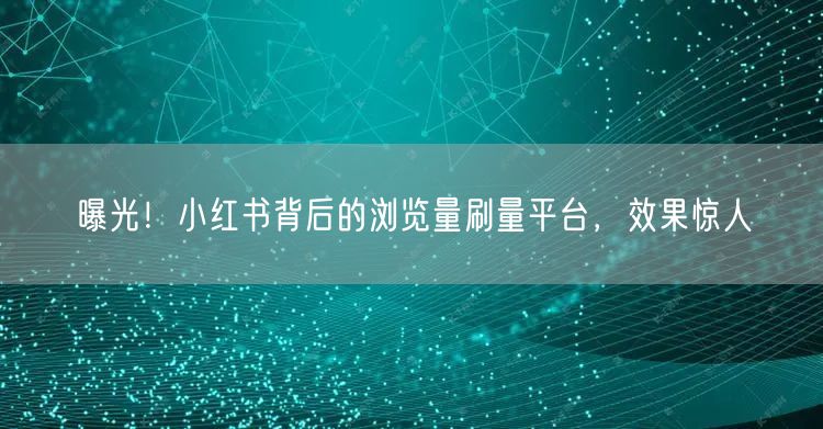 曝光！小红书背后的浏览量刷量平台，效果惊人