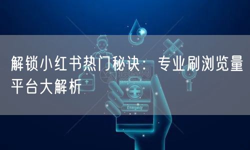解锁小红书热门秘诀：专业刷浏览量平台大解析