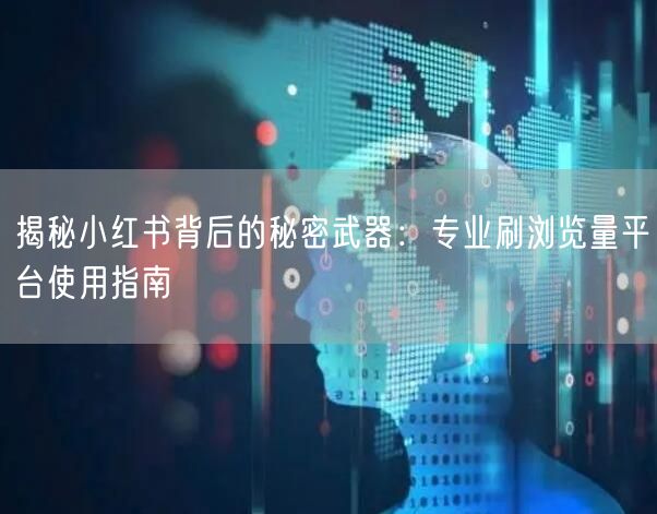 揭秘小红书背后的秘密武器：专业刷浏览量平台使用指南