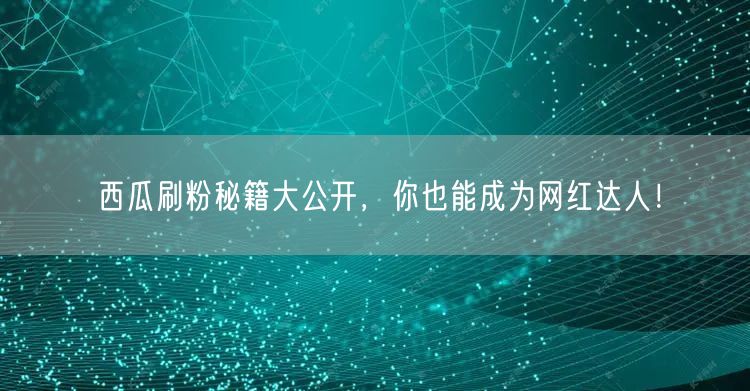 西瓜刷粉秘籍大公开，你也能成为网红达人！