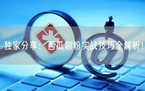 独家分享：西瓜刷粉实战技巧全解析！