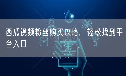 西瓜视频粉丝购买攻略，轻松找到平台入口