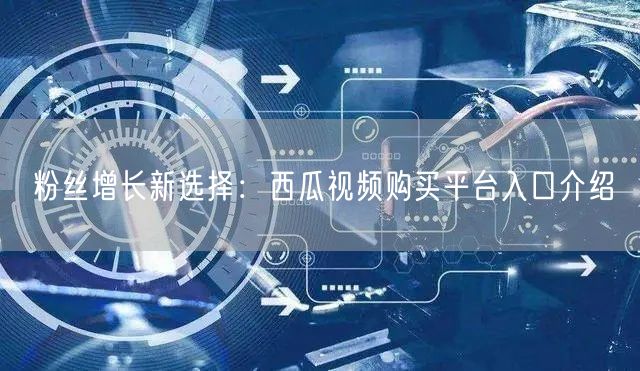 粉丝增长新选择：西瓜视频购买平台入口介绍