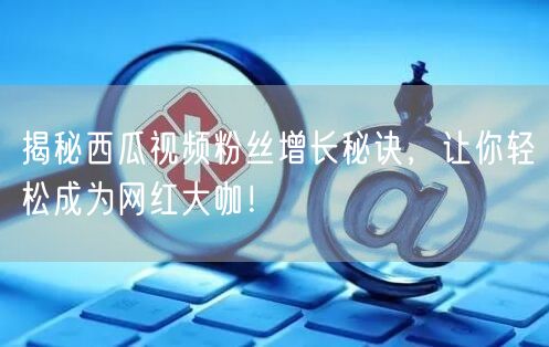 揭秘西瓜视频粉丝增长秘诀，让你轻松成为网红大咖！